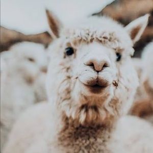 Meet your Posher, Eli